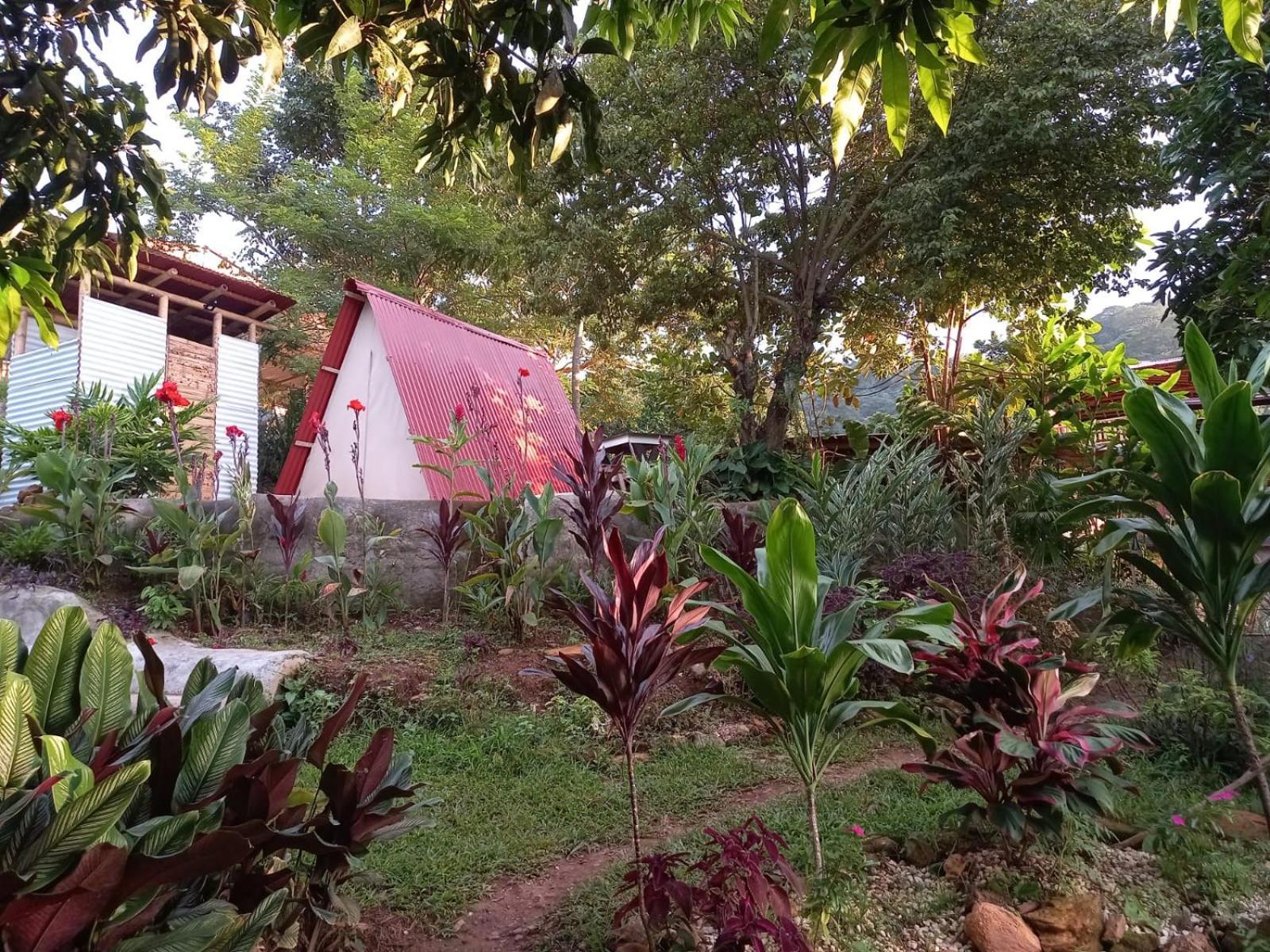 Hotel Tukamping à Minca Extérieur photo